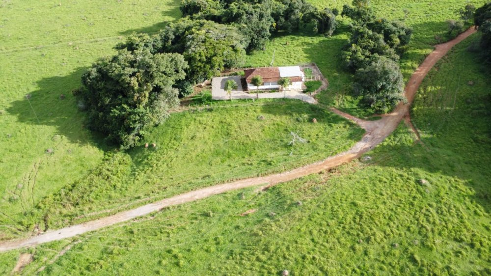 Terreno - Venda - Zona Rural - So Francisco de Paula - MG