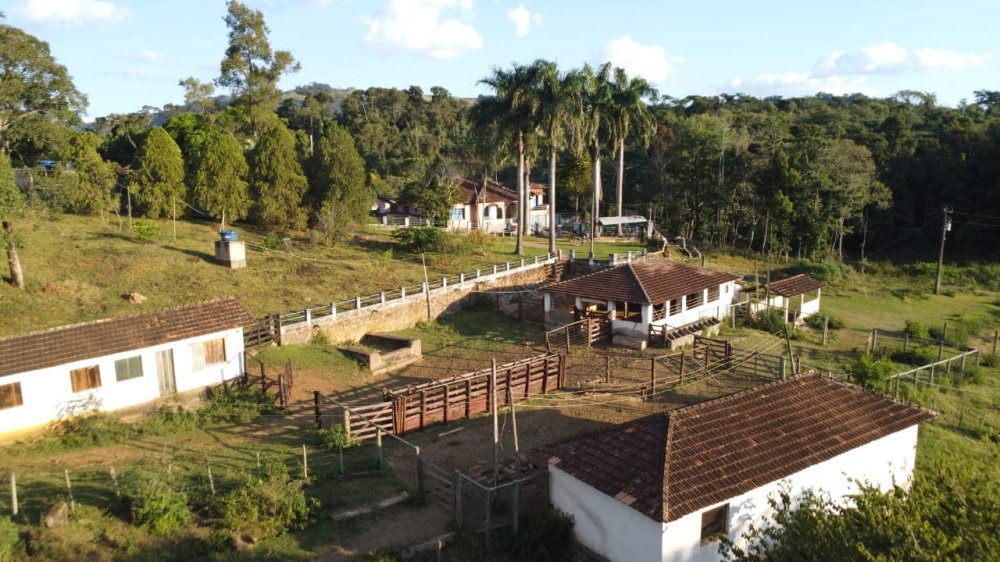 Fazenda - Venda - Zona Rural - So Francisco de Paula - MG
