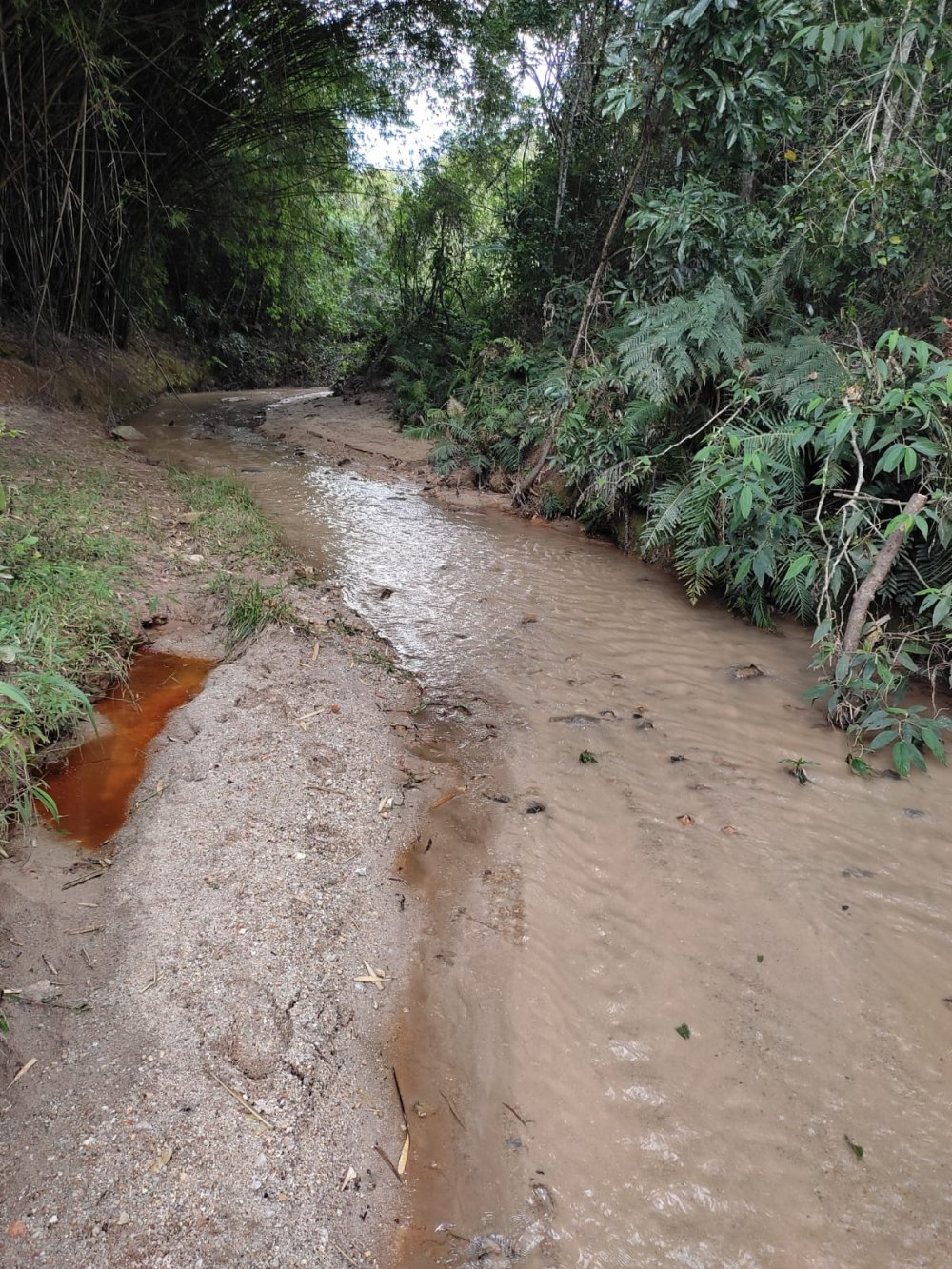 Terreno - Venda - Zona Rural - So Tiago - MG