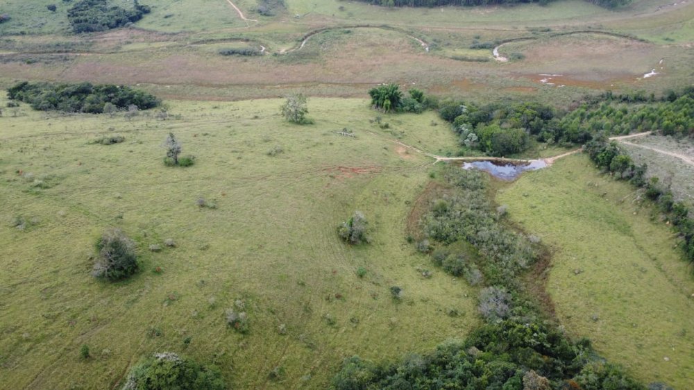 Fazenda - Venda - Zona Rural - Oliveira - MG