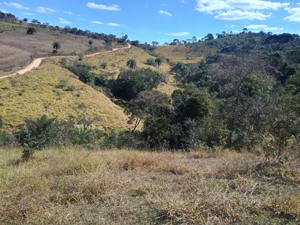 Terreno - Venda - Zona Rural - Rio Manso - MG
