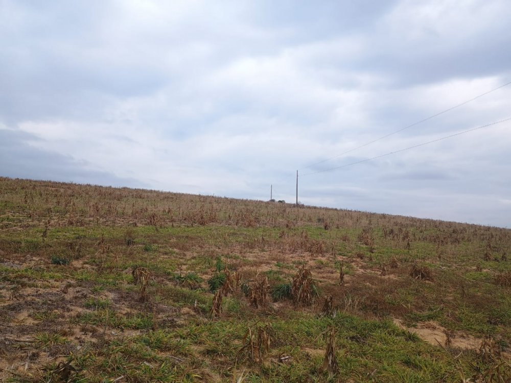 Terreno - Venda - Zona Rural - Piedade dos Gerais - MG