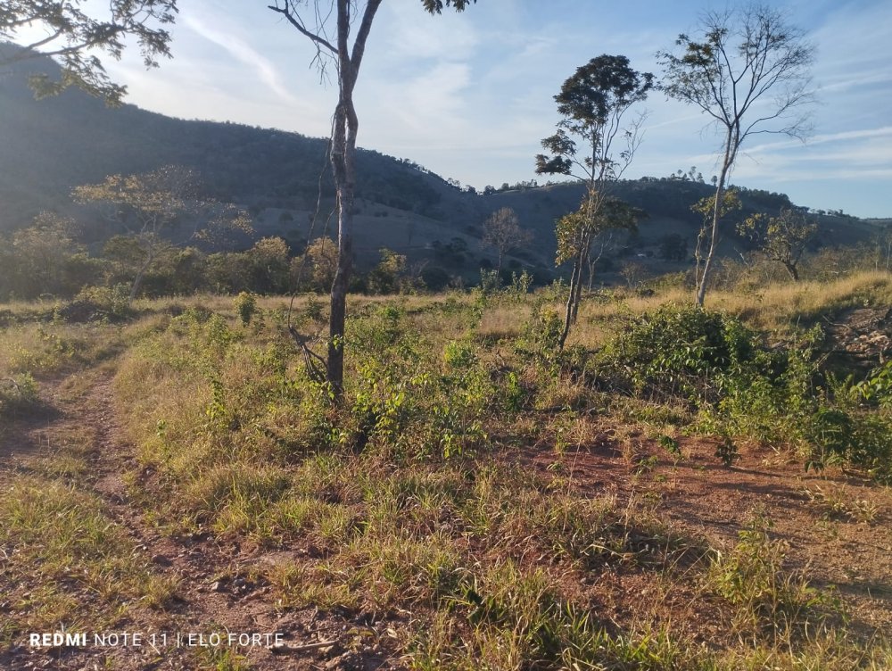 Terreno - Venda - Zona Rural - Itaguara - MG