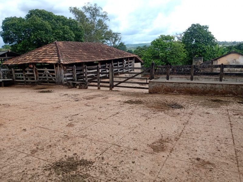 Fazenda - Venda - Zona Rural - Santo Antnio do Monte - MG