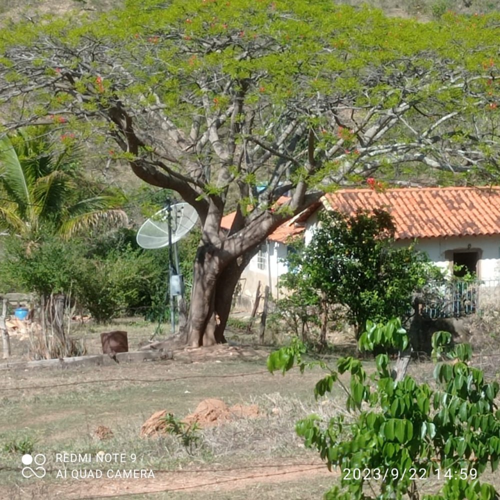 Fazenda - Venda - Zona Ruarl - Codisburgo - MG