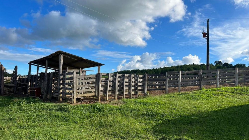 Fazenda - Venda - Zona Ruarl - Campo Belo - MG
