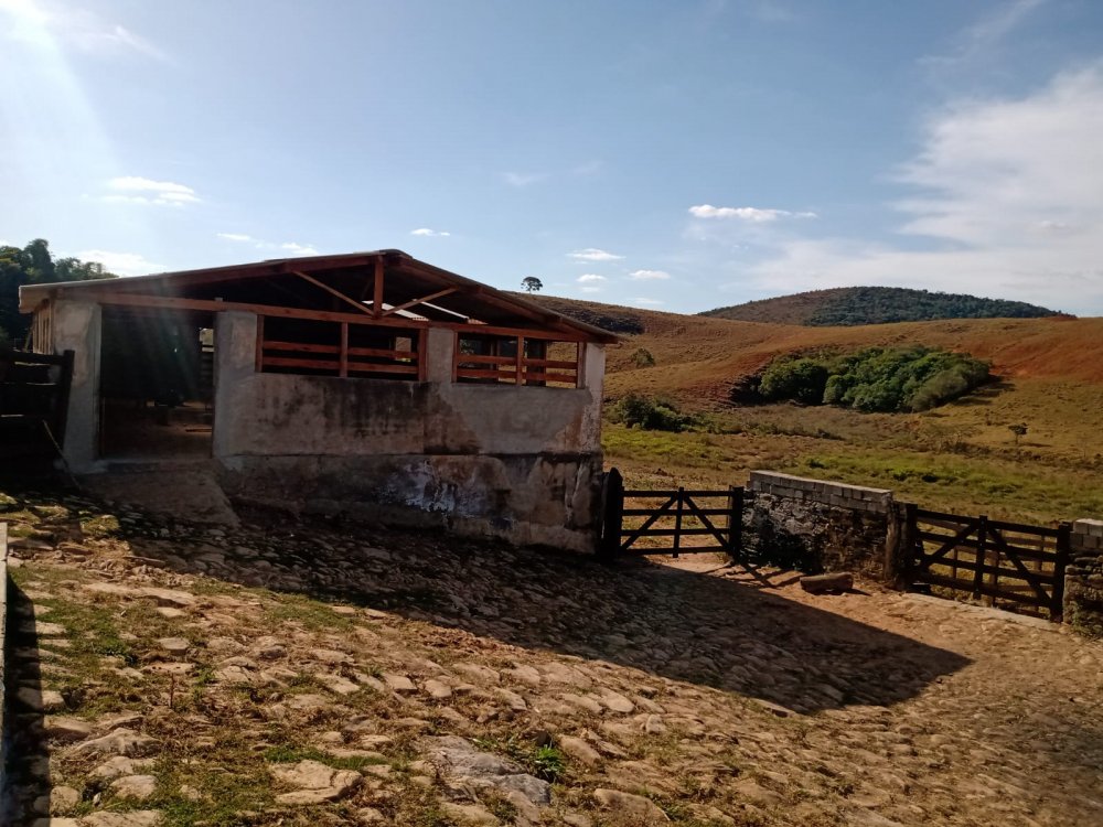 Fazenda - Venda - Zona Rural - Passa Tempo - MG