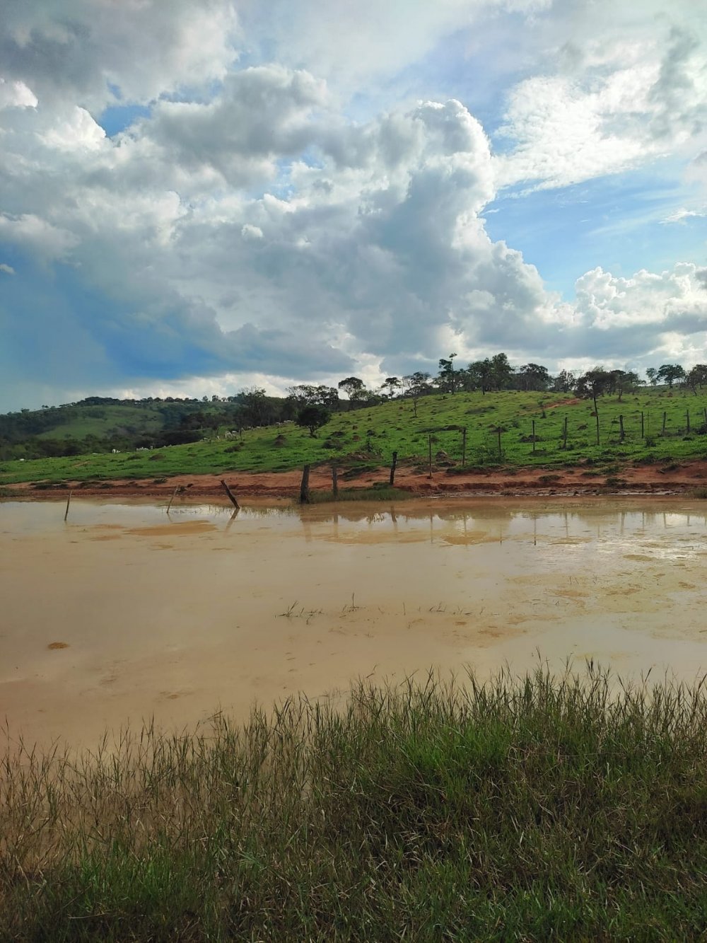 Terreno - Venda - Zona Ruarl - So Sebastio do Oeste - MG