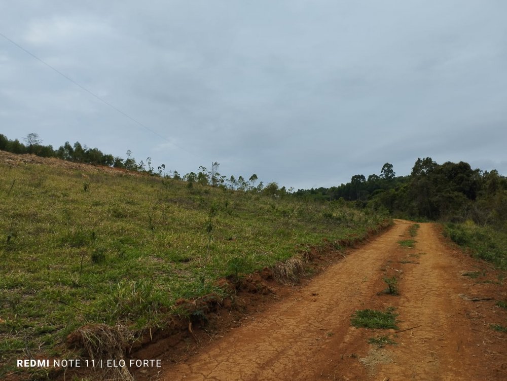 Terreno - Venda - Zona Rural - Carmo do Cajuru - MG