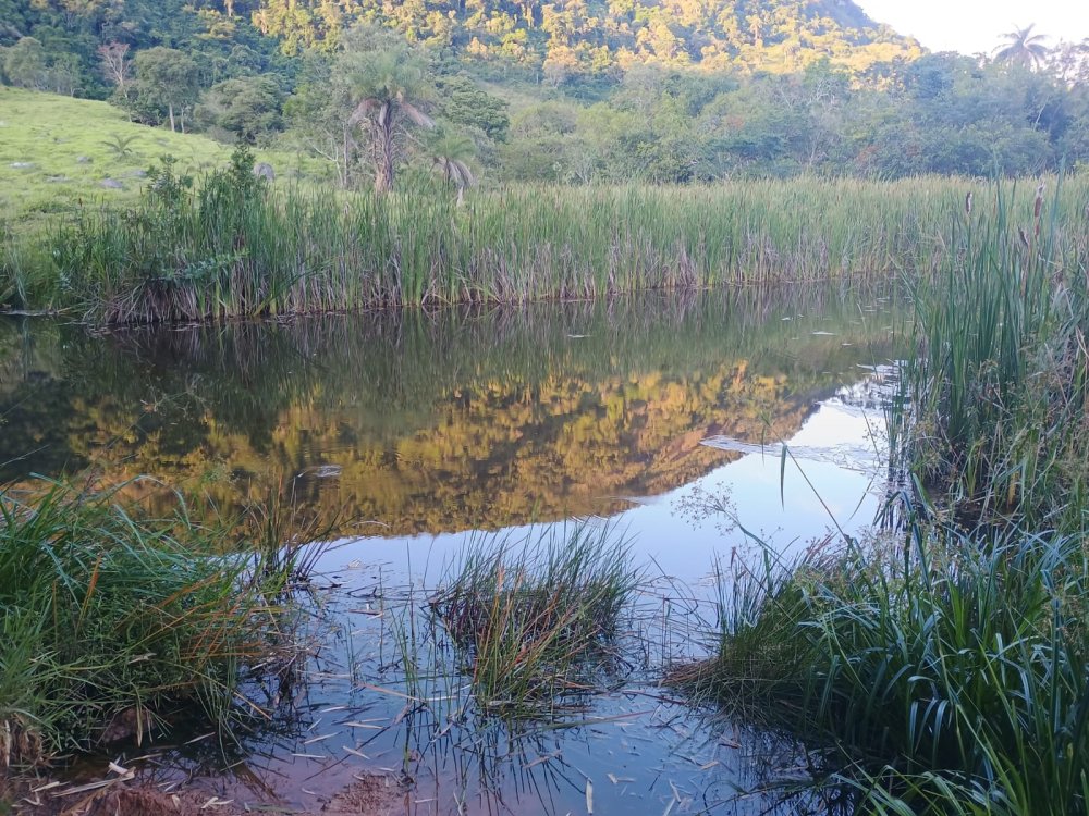 Terreno - Venda - Zona Rural - Piracema - MG