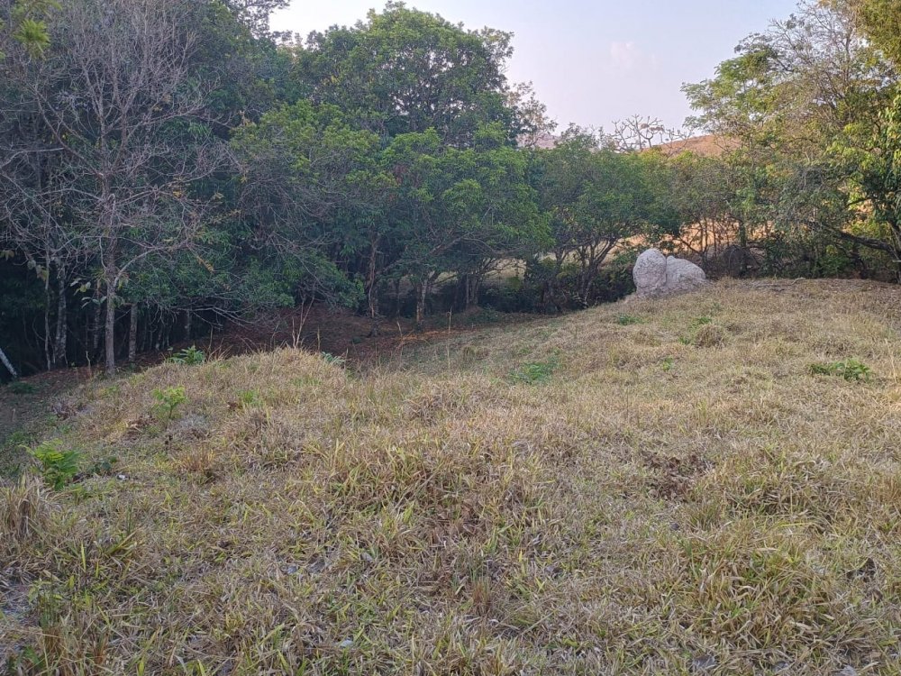 Terreno - Venda - Zona Rural - Passa Tempo - MG