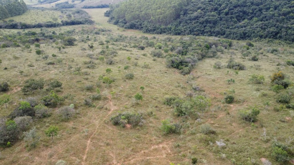 Terreno - Venda - Zona Rural - Oliveira - MG
