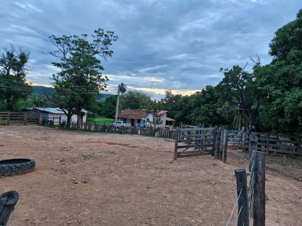 Fazenda - Venda - Zona Ruarl - Vrzea da Palma - MG