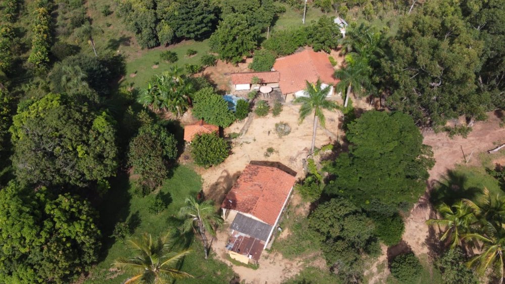 Fazenda - Venda - Zona Rural - Felixlndia - MG