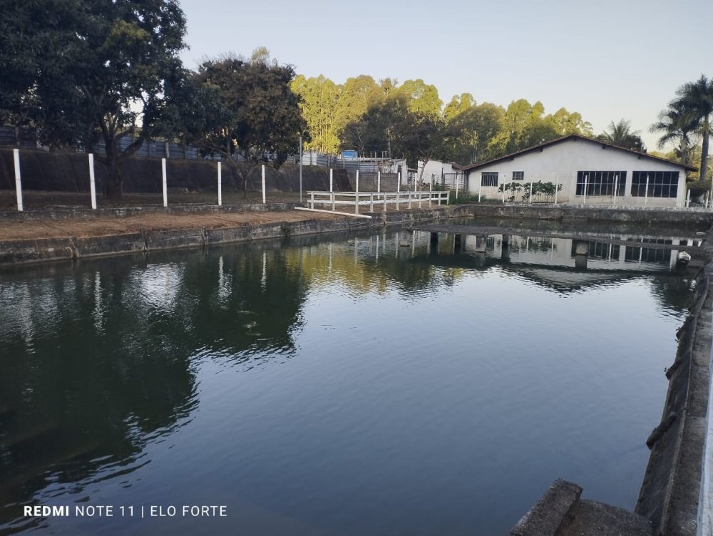 Fazenda - Venda - Zona Rural - Itatiaiuu - MG