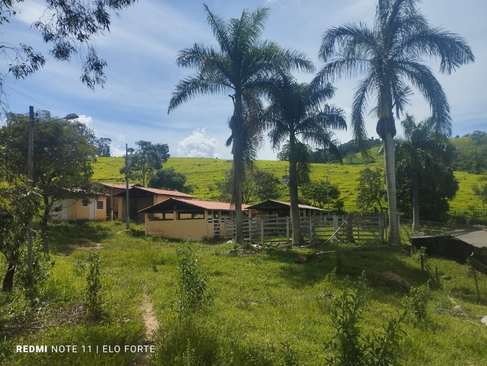 Fazenda - Venda - Zona Rural - Crucilndia - MG