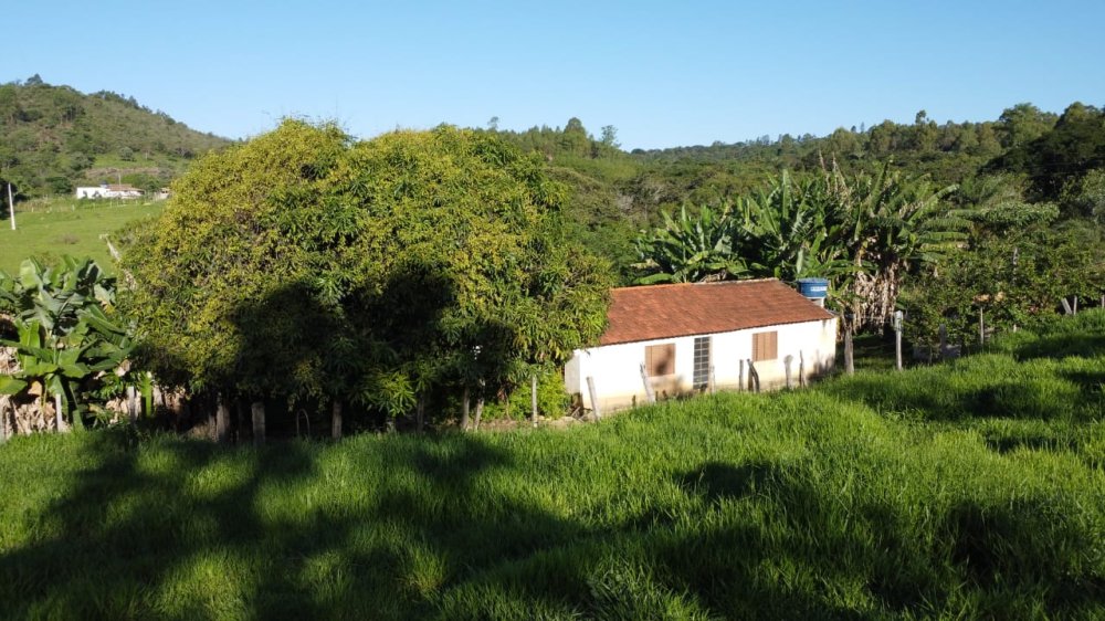 Sítio - Venda - Zona Rural - Carmo do Cajuru - MG