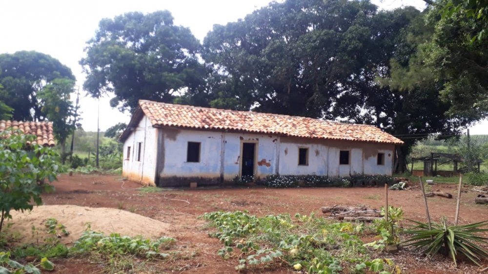 Fazenda - Venda - Zona Rural - Felixlndia - MG
