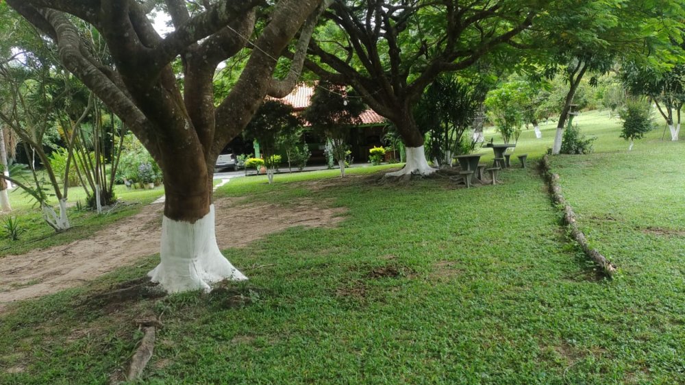 Fazenda - Venda - Zona Ruarl - Esmeraldas - MG