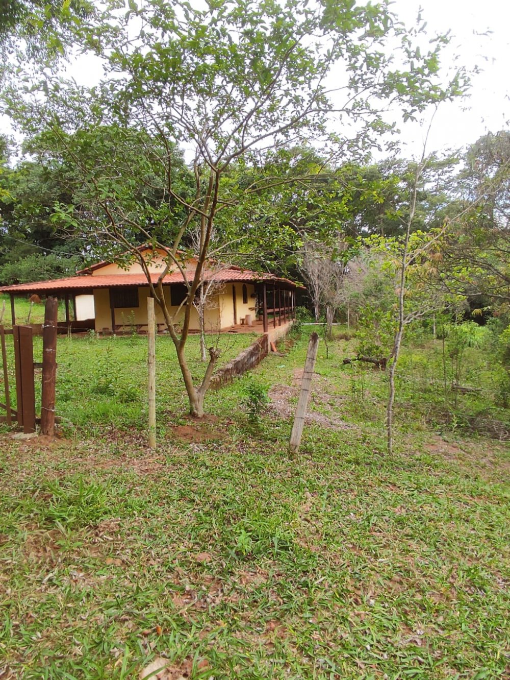 Stio - Venda - Zona Rural - Carmpolis de Minas - MG