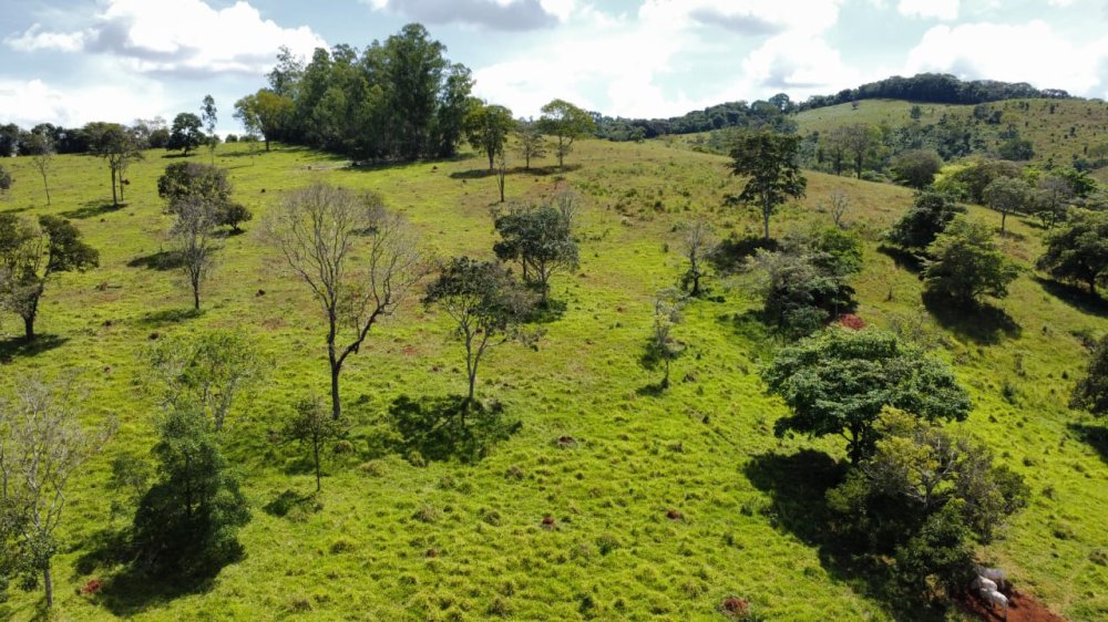 Terreno - Venda - Zona Rural - Itaguara - MG
