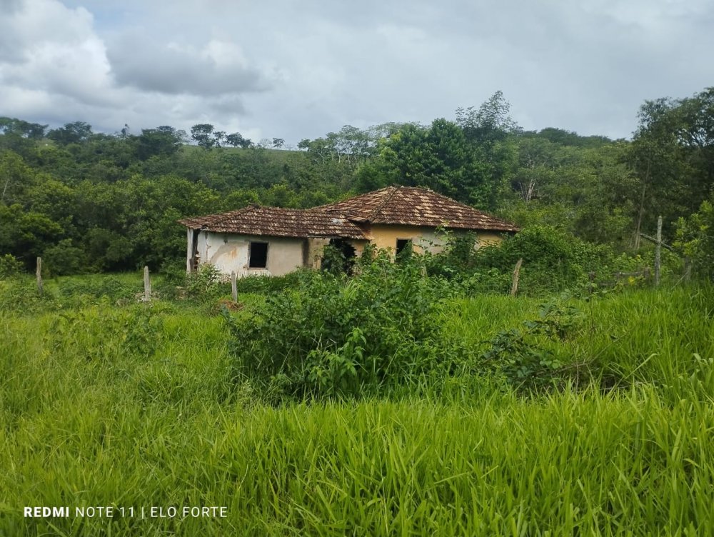Terreno - Venda - Zona Rural - Cludio - MG