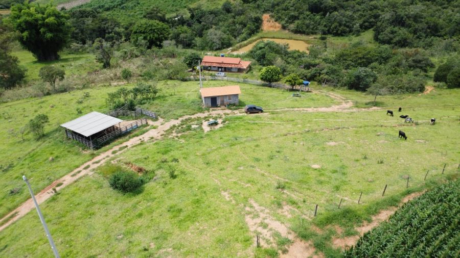 Fazenda - Venda - Zona Rural - Passa Tempo - MG