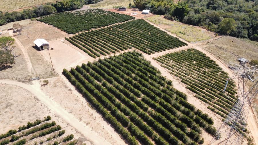 Terreno - Venda - Zona Rural - Oliveira - MG