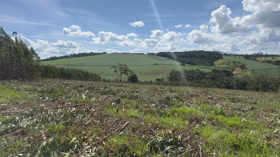 Fazenda - Venda - Zona Rural - Itaguara - MG