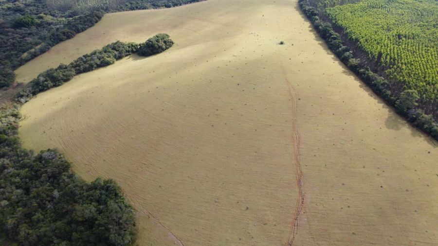 Fazenda - Venda - Zona Rural - Oliveira - MG