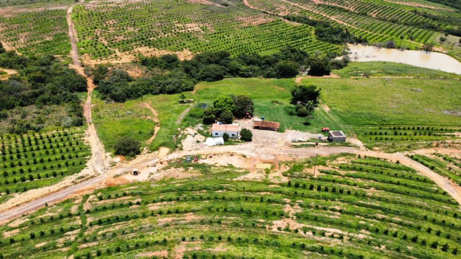 Fazenda - Venda - Zona Ruarl - Biquinhas - MG