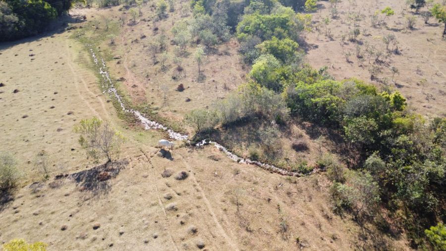 Fazenda - Venda - Zona Rural - Passa Tempo - MG
