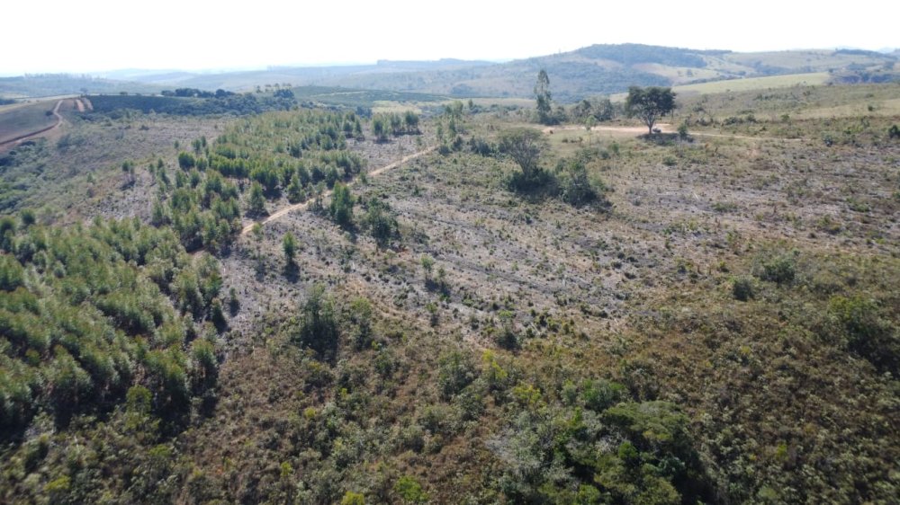 Terreno - Venda - Zona Rural - Oliveira - MG