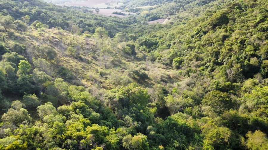 Terreno - Venda - Zona Rural - Piracema - MG