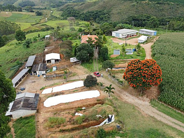 Fazenda 35 h� em Oliveira