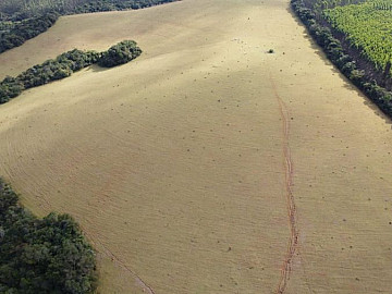 Terreno aprox 33 h� em Oliveira