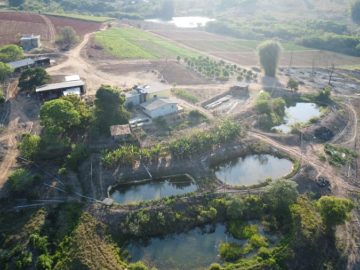 Fazenda 30 h� em Passa Tempo