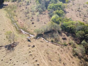 Fazendinha 29 h� em Passa Tempo.