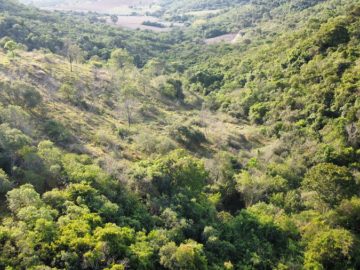 Terreno aprox 85 hectares em Piracema.