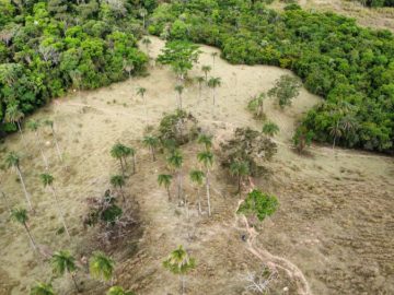 Terreno aprox 19 hectares em Itaguara